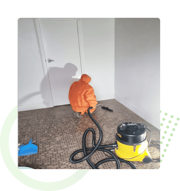 asbestos removal control plan