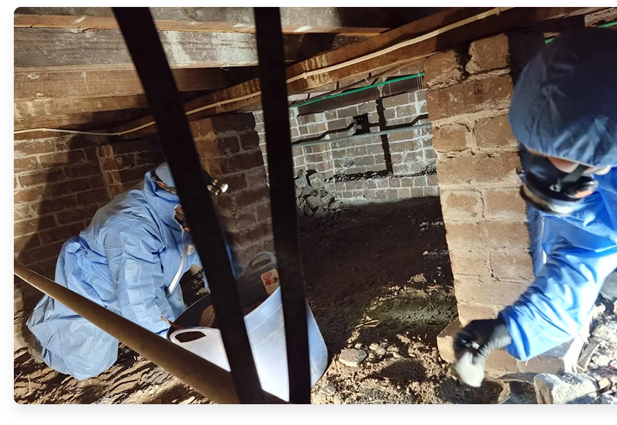 Asbestos Testing Near Me